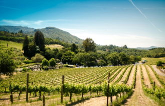 landscape photography of farm
